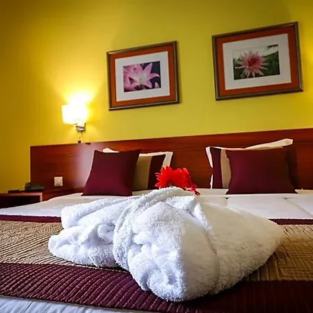 Hotel Camoes Ponta Delgada