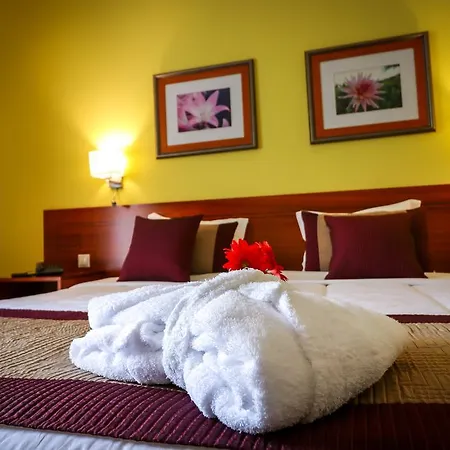 Camoes Hotel 4*